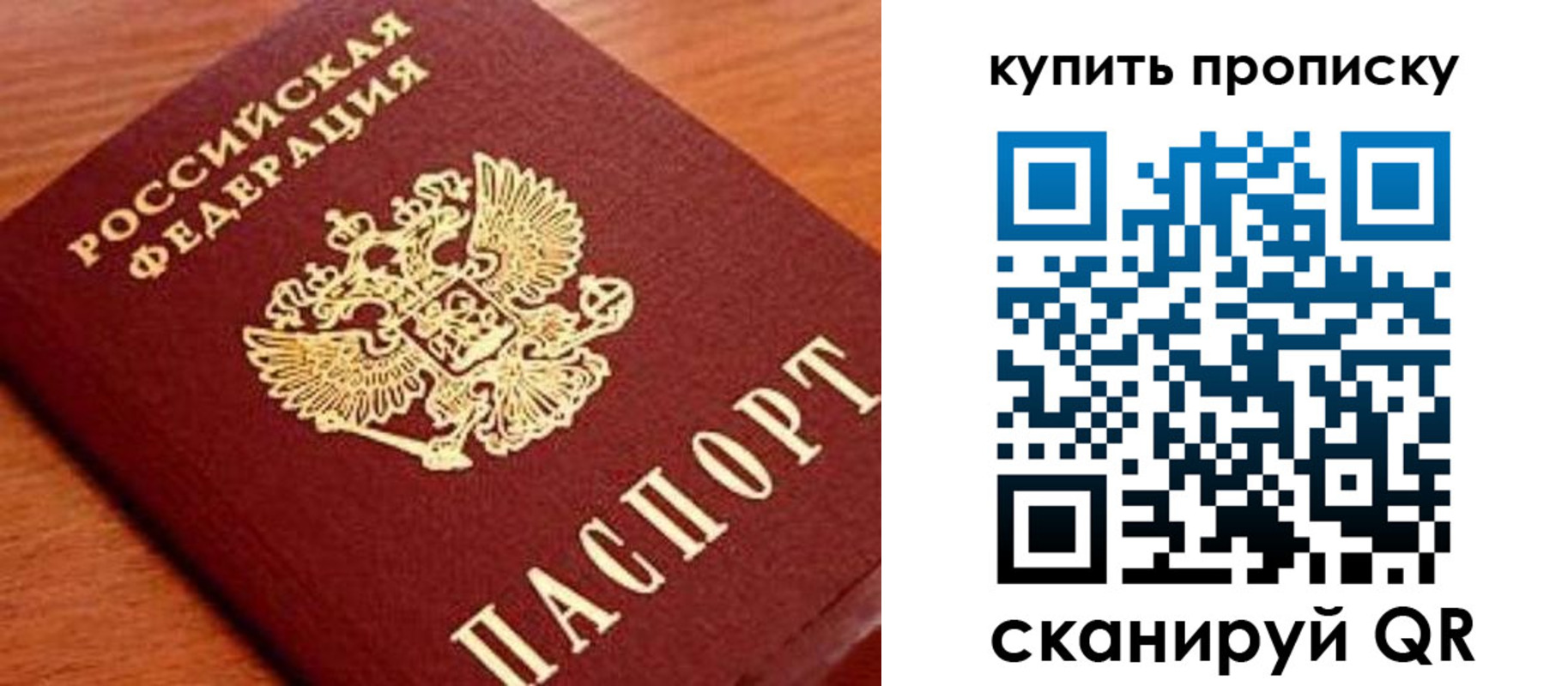 прописка поиск в Вологде